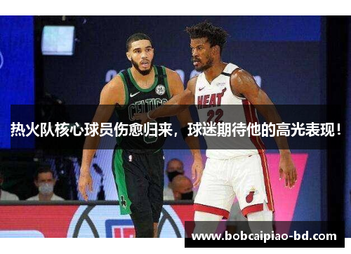 热火队核心球员伤愈归来，球迷期待他的高光表现！