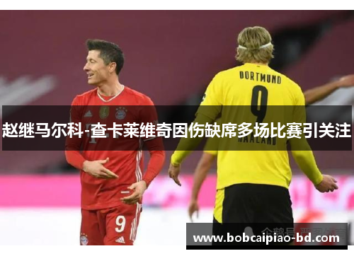 赵继马尔科-查卡莱维奇因伤缺席多场比赛引关注