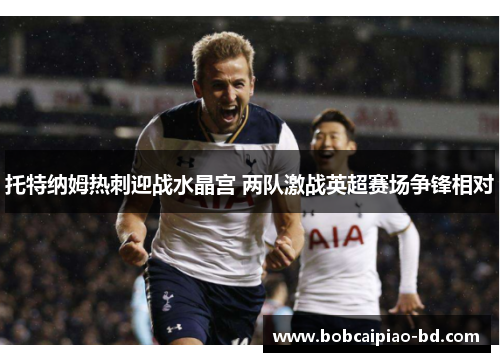 托特纳姆热刺迎战水晶宫 两队激战英超赛场争锋相对